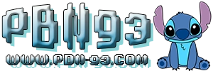 PDN93 logo